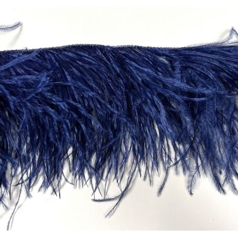 PIÓRA NA TAŚMIE DSI