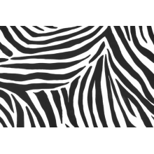 Zebra - lycra