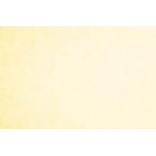 TIUL SZTYWNY - cream