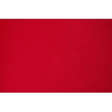TIUL SZTYWNY - scarlet