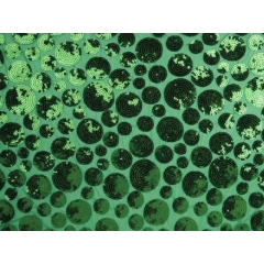 POLKA DOT SEQUINS MESH
