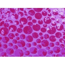 POLKA DOT SEQUINS MESH - hawaiian pink-hawaiian pink