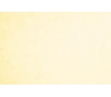 TIUL MIĘKKI <span class='shop_red small'>(ivory DSI)</span>