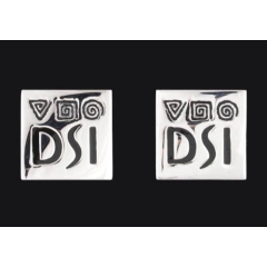 Logo DSI