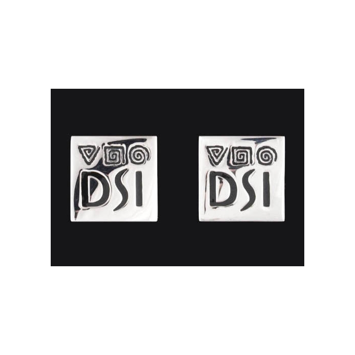 Logo DSI