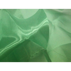 ORGANZA DSI peppermint
