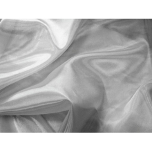 ORGANZA DSI silver