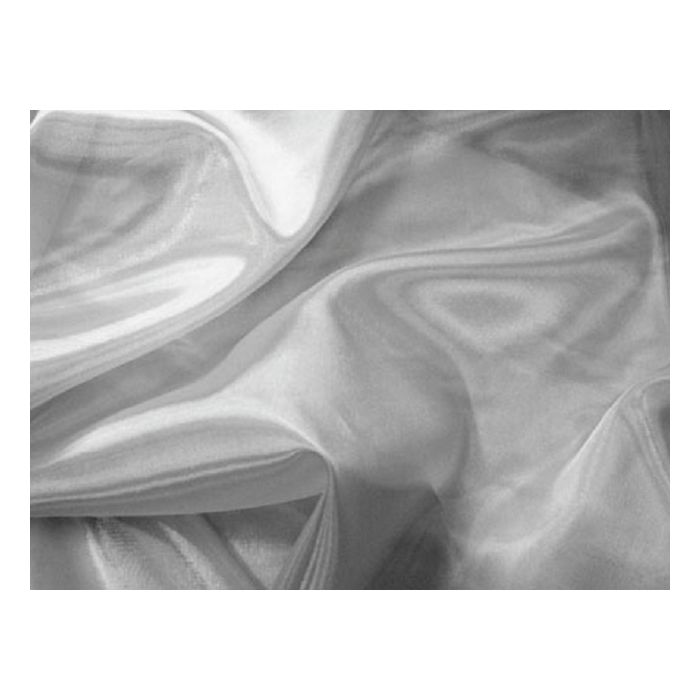 ORGANZA DSI silver