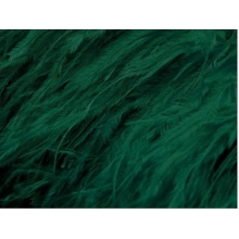 BOA STRUSIE CHRISANNE forest green