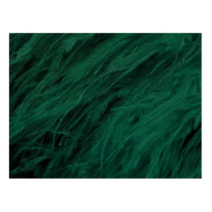 BOA STRUSIE CHRISANNE forest green