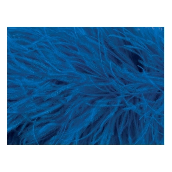 BOA STRUSIE DSI ocean blue