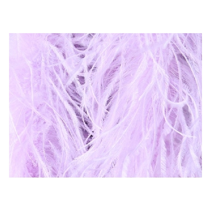 BOA STRUSIE DSI lilac