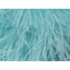 BOA STRUSIE DSI aqua