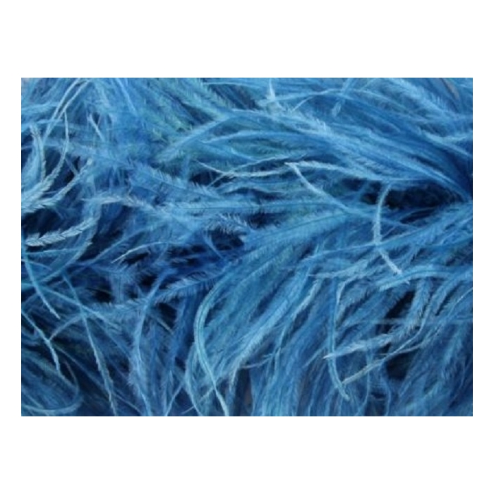 BOA STRUSIE ocean blue