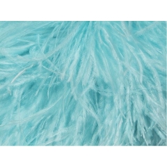 BOA STRUSIE aqua