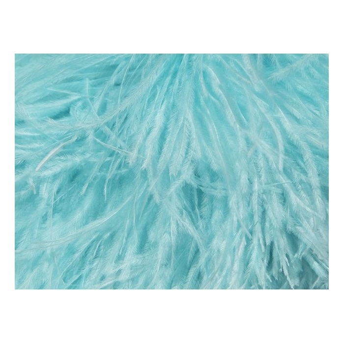 BOA STRUSIE aqua