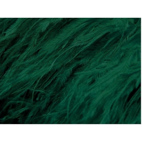 BOA STRUSIE forest green