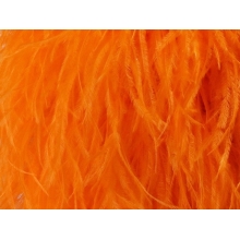 BOA STRUSIE tangerine