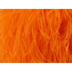 BOA STRUSIE tangerine