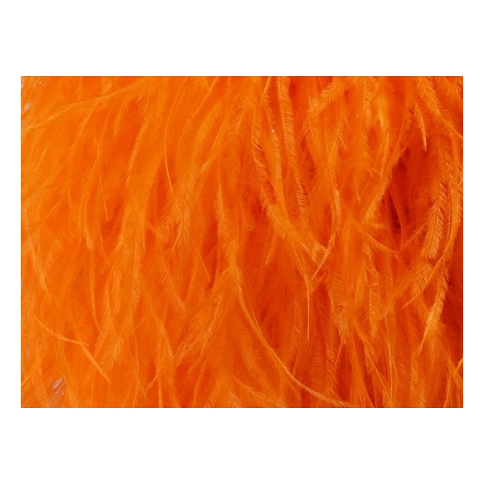 BOA STRUSIE tangerine