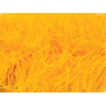 BOA STRUSIE saffron