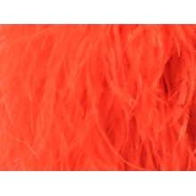 BOA STRUSIE flamered