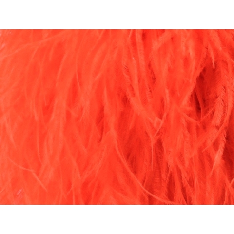 BOA STRUSIE flamered