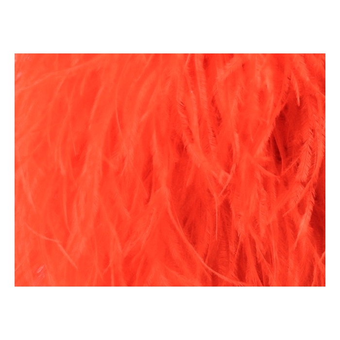 BOA STRUSIE flamered