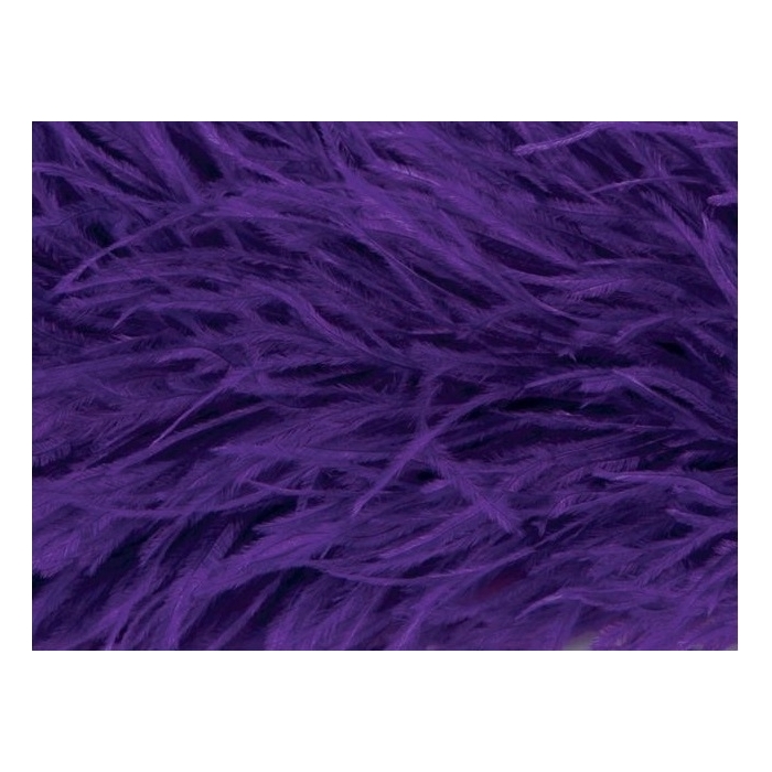 BOA STRUSIE DSI purple