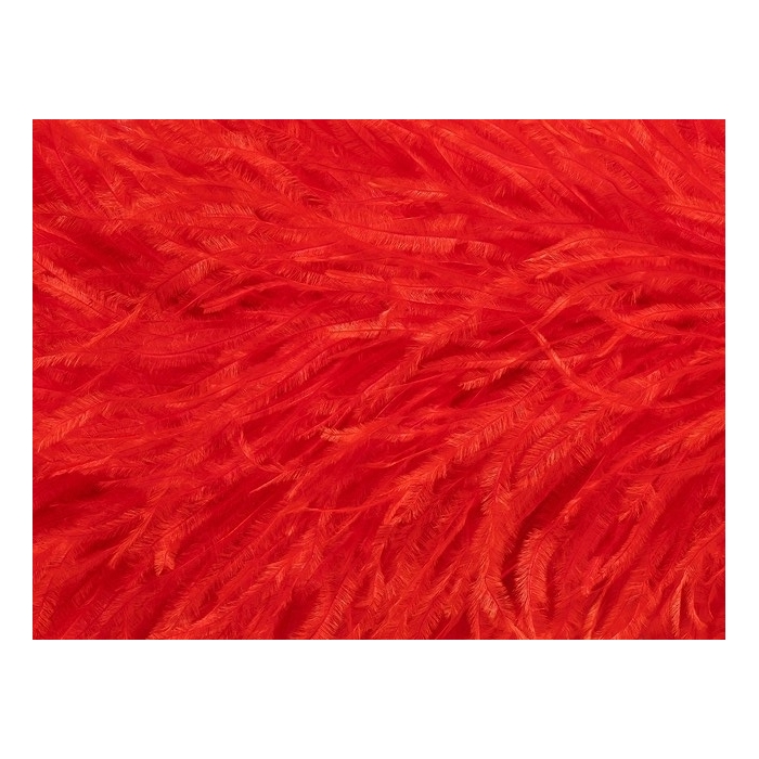 BOA STRUSIE fluorescent red