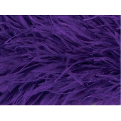 BOA STRUSIE purple