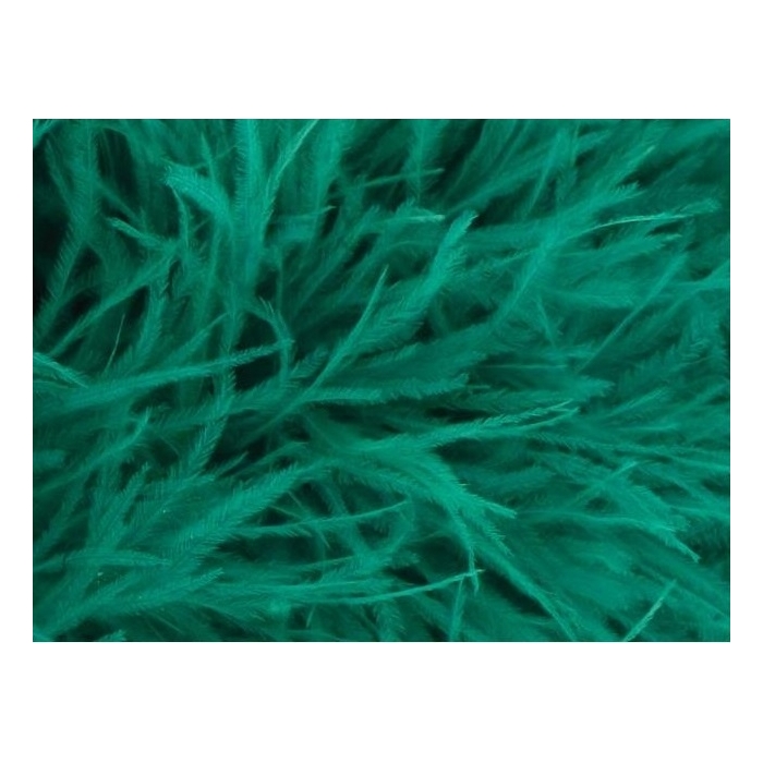 BOA STRUSIE jade