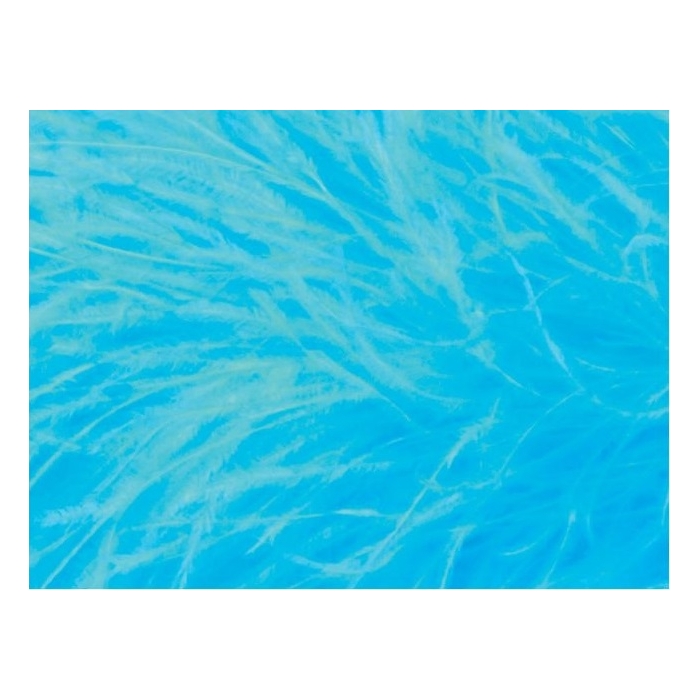 PIÓRA NA TAŚMIE blue paradise 1m - 4m