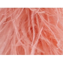 BOA STRUSIE coral / sunglow