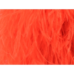 BOA STRUSIE flamered / tango flare