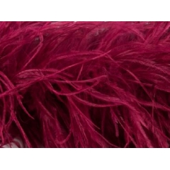 BOA STRUSIE wine
