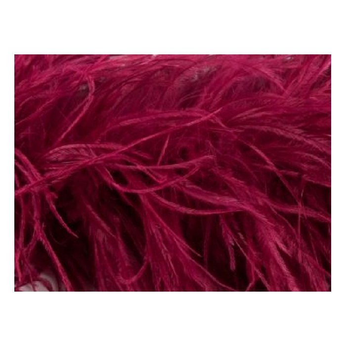 BOA STRUSIE wine