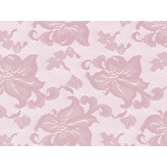 LILY carnation