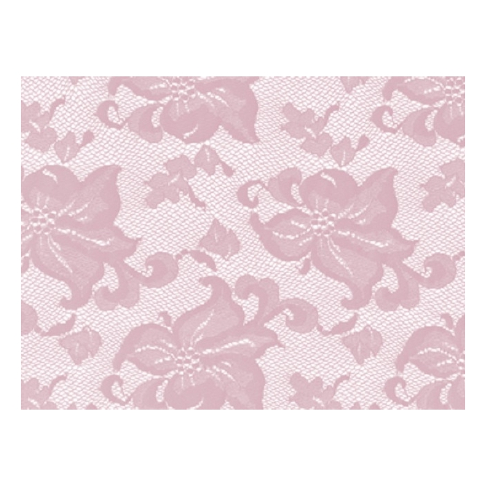 LILY carnation