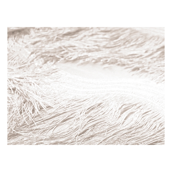 SCALLOPED ALL OVER FRINGE NET white*