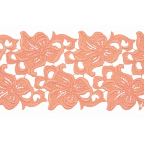 LILIA coral