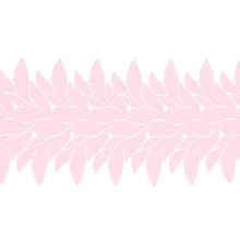 LUCY carnation