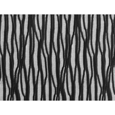 PISA black