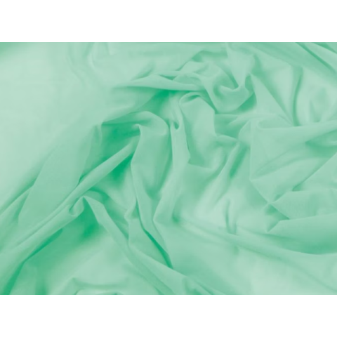 MESH CHR spearmint