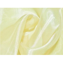 ORGANZA DSI camelia