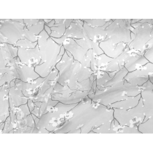 ORGANZA gloria print