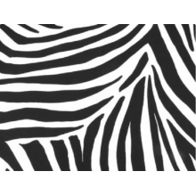 SATYNA DRUKOWANA DSI zebra print