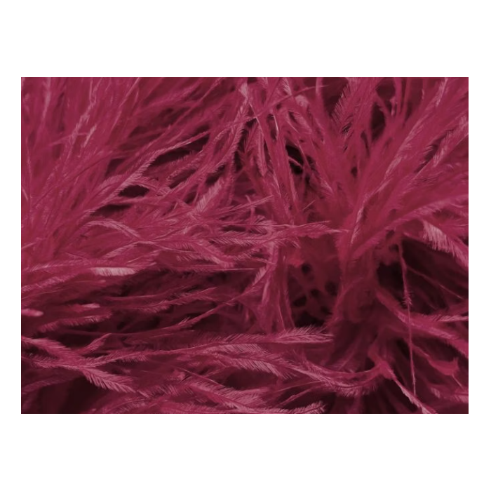BOA STRUSIE burgundy