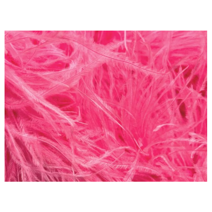 BOA STRUSIE CHRISANNE pink fizz