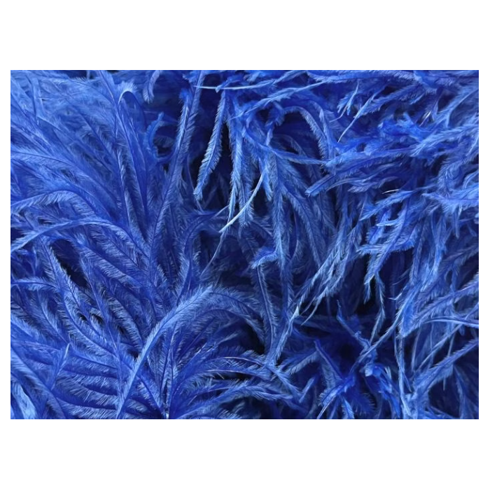 BOA STRUSIE CHRISANNE cobalt